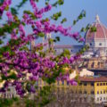 Primavera nell'immobiliare. Firenze sullo sfondo